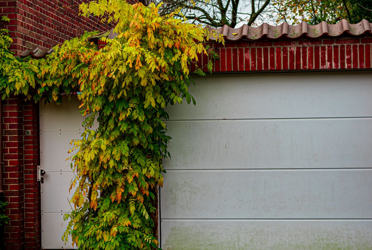 Garage door service in Largo, FL